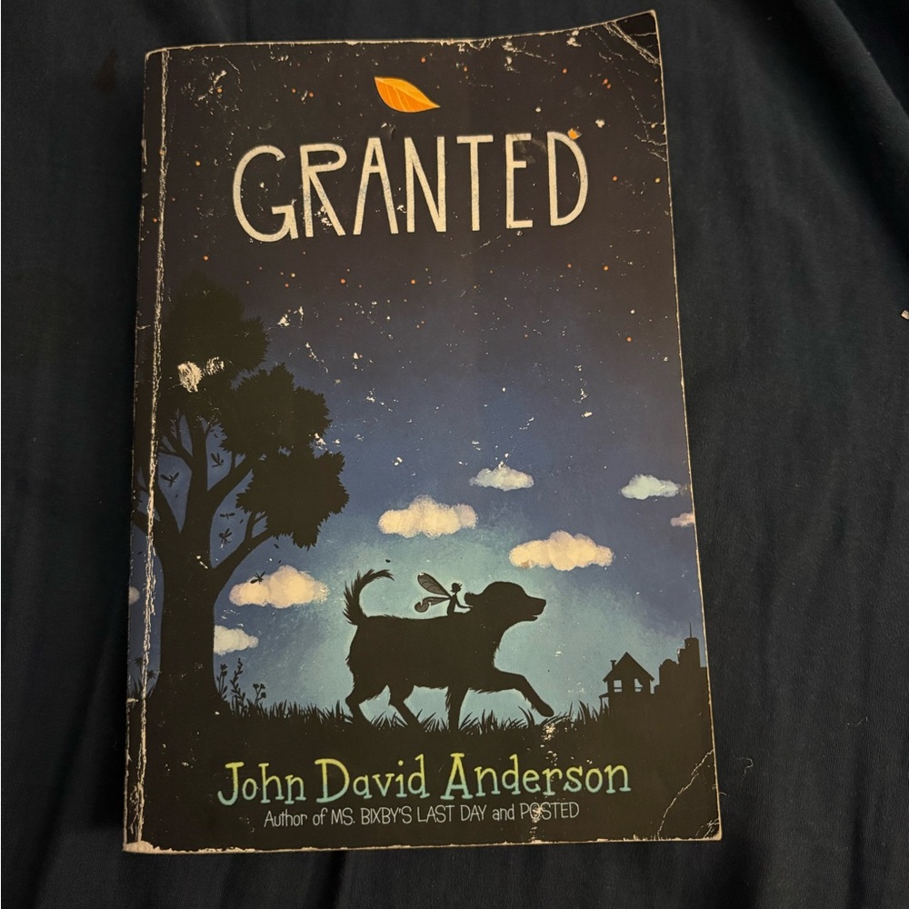 Granted by John David Anderson Book